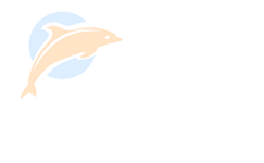 hotel Dolphin Katra jammu